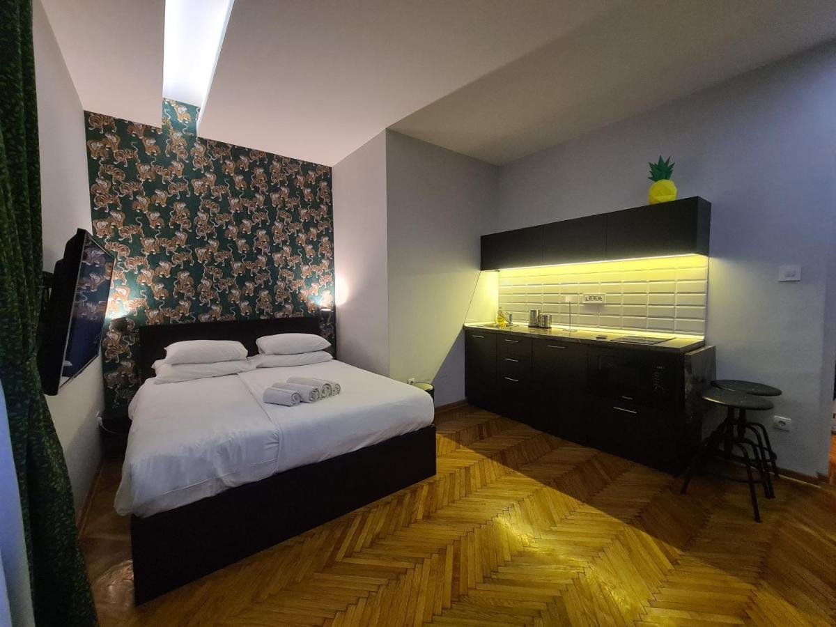 Urban Studio In City Center Belgrád Kültér fotó